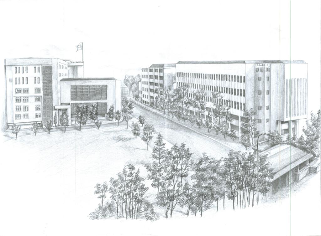 dsada